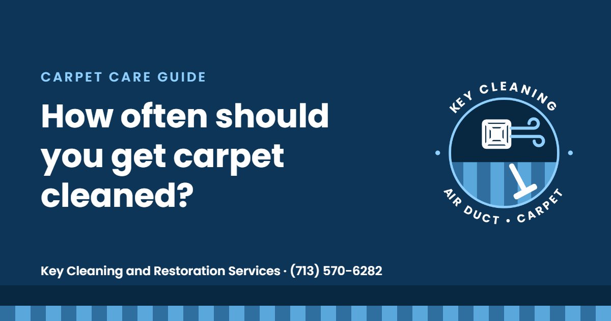 How Often Should You Get Your Carpet Professionally Cleaned?